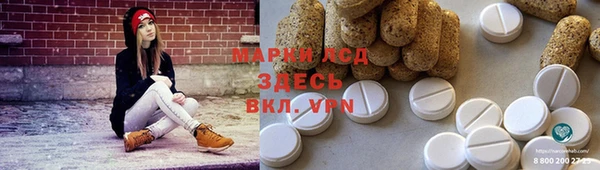 СК Аркадак