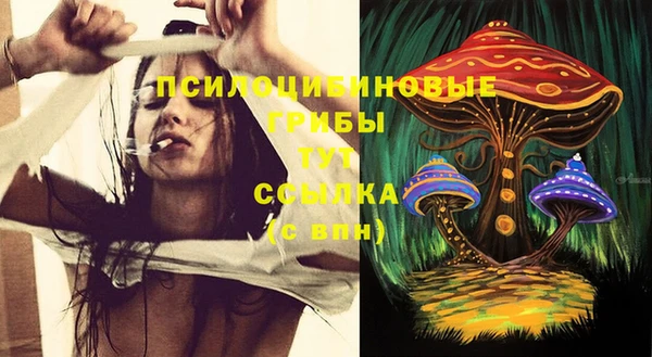 СК Аркадак