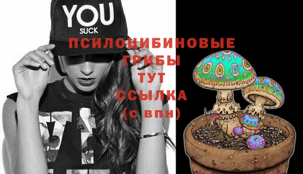 дмт Армянск
