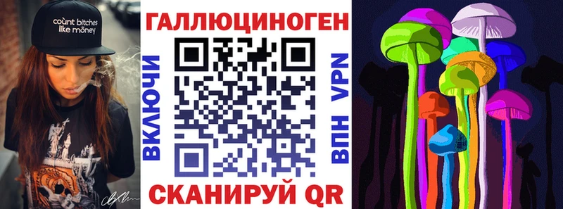 Псилоцибиновые грибы Cubensis  где купить наркотик  дарк нет состав  Владивосток 
