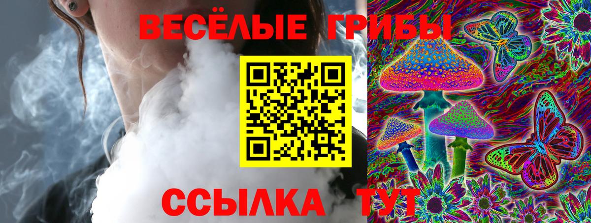Псилоцибиновые грибы прущие грибы Владивосток
